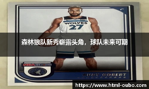 欧博平台